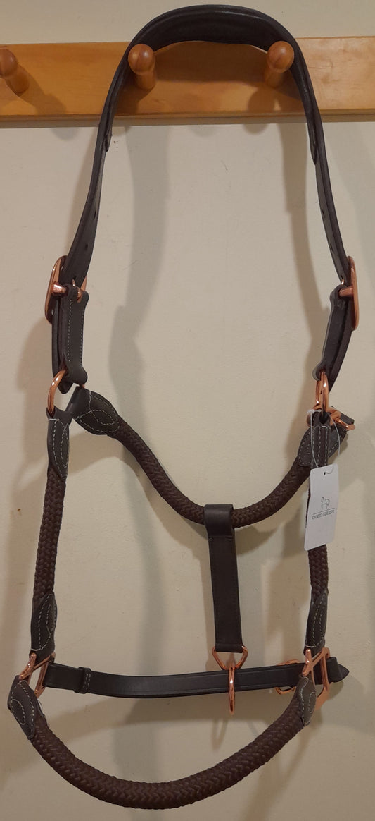 Cameo Equine Head Collar leather and rope with rose gold fittings