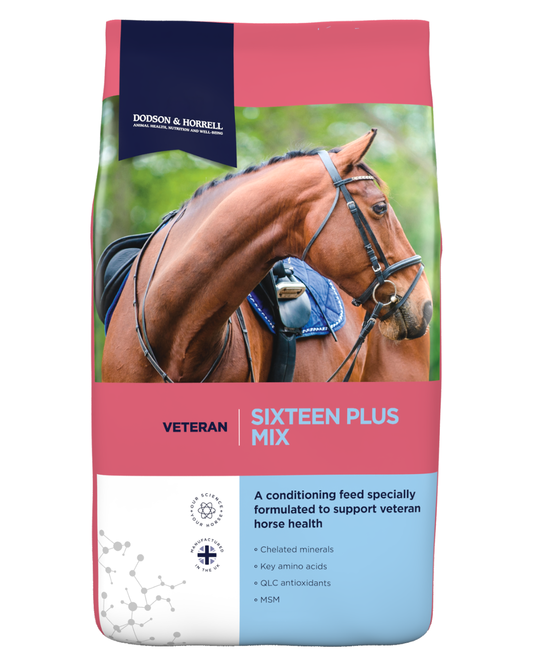 Dodson and Horrell Sixteen Plus Mix