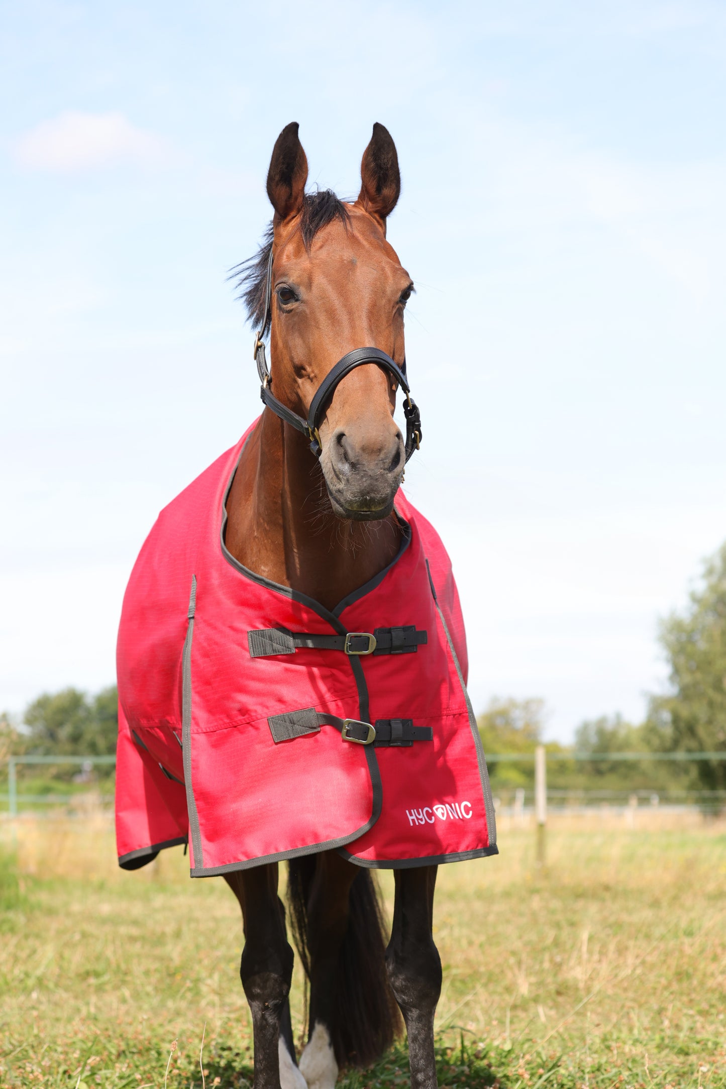 HyCONIC 200g Turnout Rug