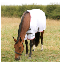 HyCONIC Fly Rug with Detachable Neck