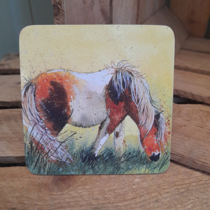 Shetland Coaster