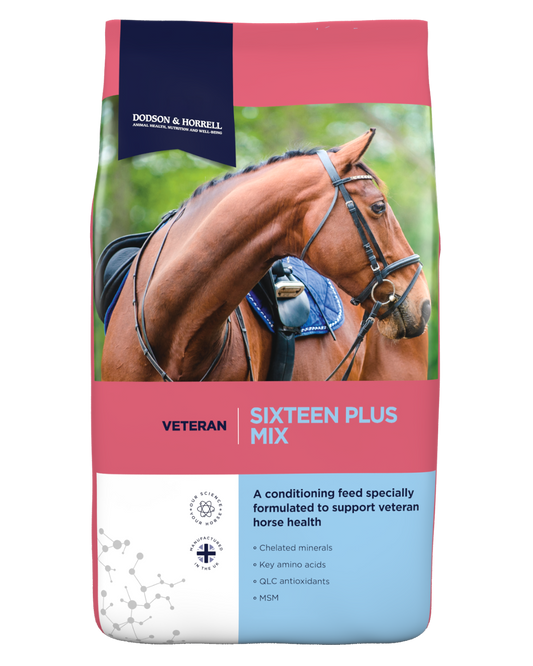 Dodson and Horrell Sixteen Plus Mix