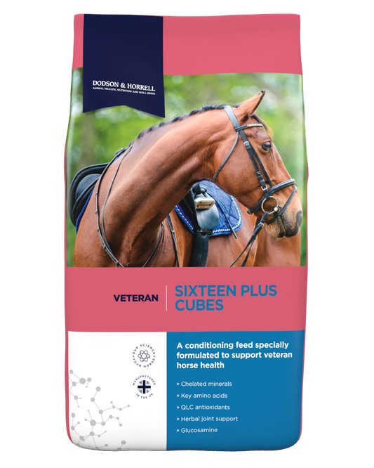 Dodson & Horrell Sixteen Plus Cubes