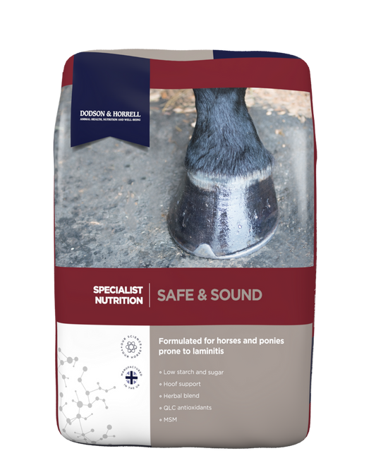 Dodson & Horrell Safe and Sound
