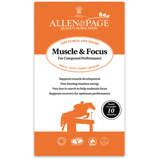Allen & Page Muscle and Focus