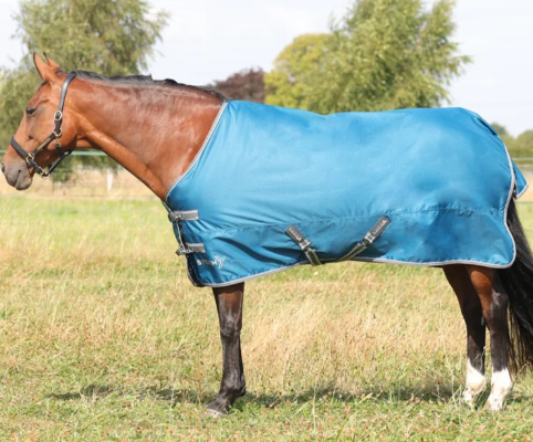 StormX Empra 50 Turnout Rug