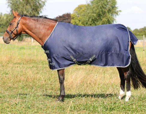 StormX Empra 100 Turnout Rug