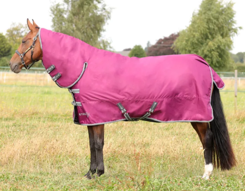 StormX Empra 200 Combi Turnout Rug