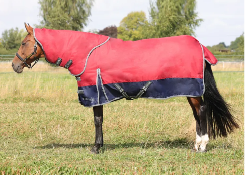 StormX Empra 200 Turnout Rug with Detachable Neck