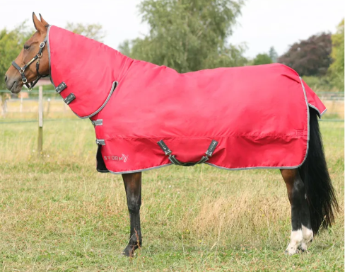 StormX Empra 300 Combi Turnout Rug