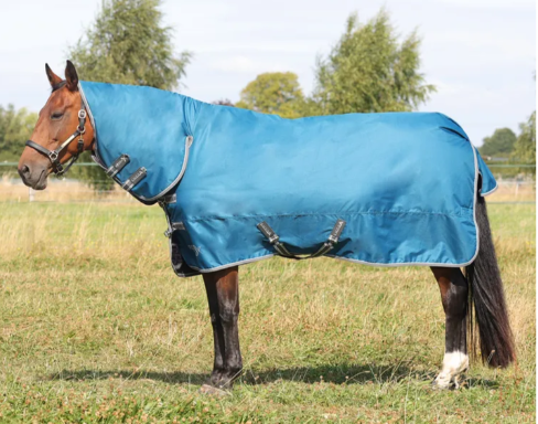 StormX Empra 50 Combi Turnout Rug