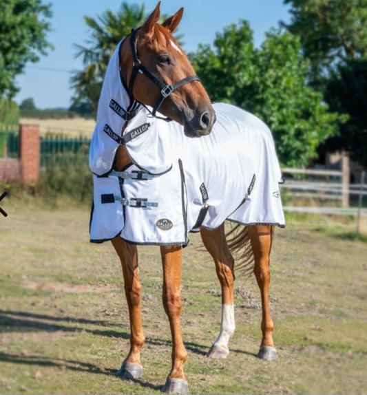 Gallop Classic Combo Fly Rug