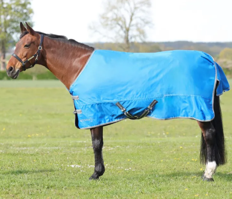 StormX Empra 0 Turnout Rug