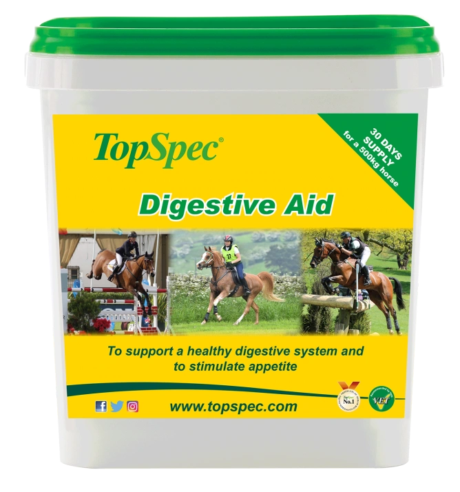 TopSpec Digestive Aid