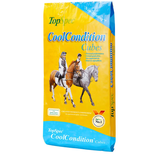 TopSpec CoolCondition Cubes